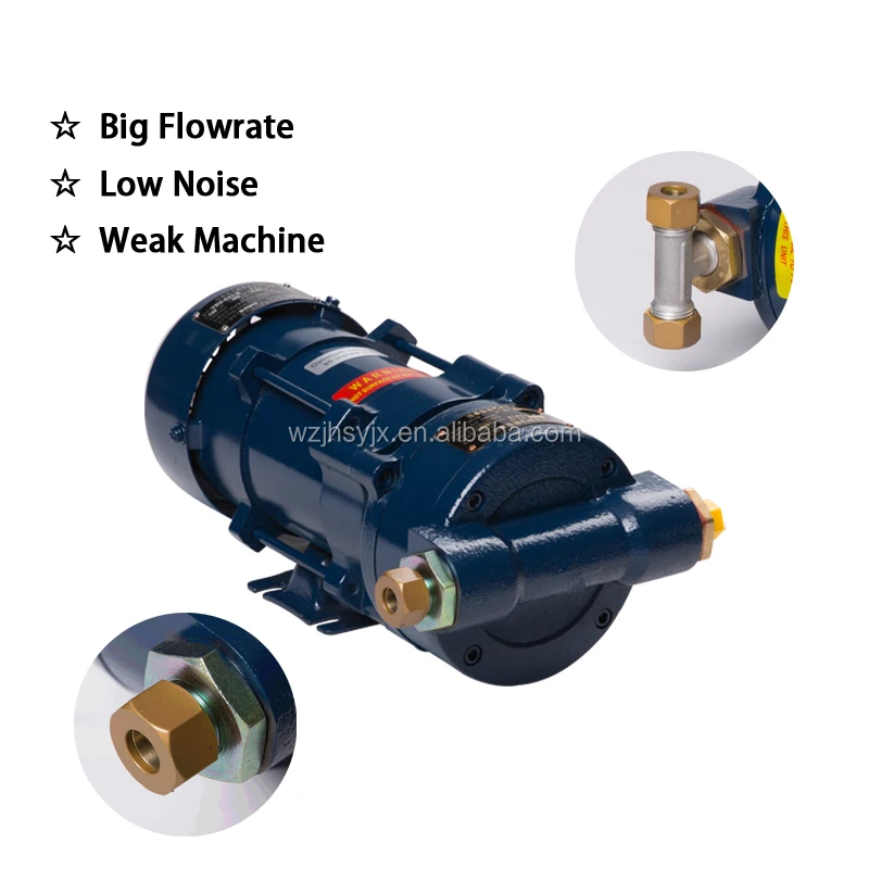 Oil Vapor Recovery Vacuum Pump,Fuel Station Pump,Vapor Recovery System