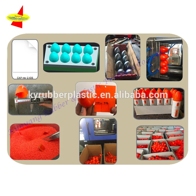 Injection Molding Case