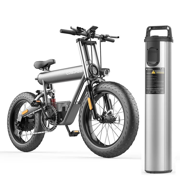 

t20 electric bike 500w coswheel eletric bike electric mountainbike Electric Bicycle, Space grey