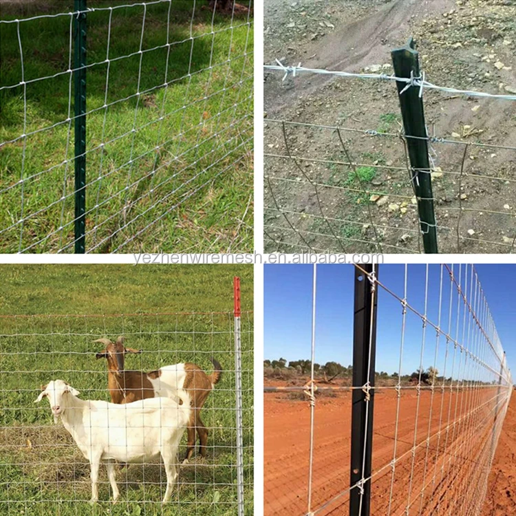 8ft Painted T Post For Deer Fence,Field Fence/ T Bar Field Fence Post