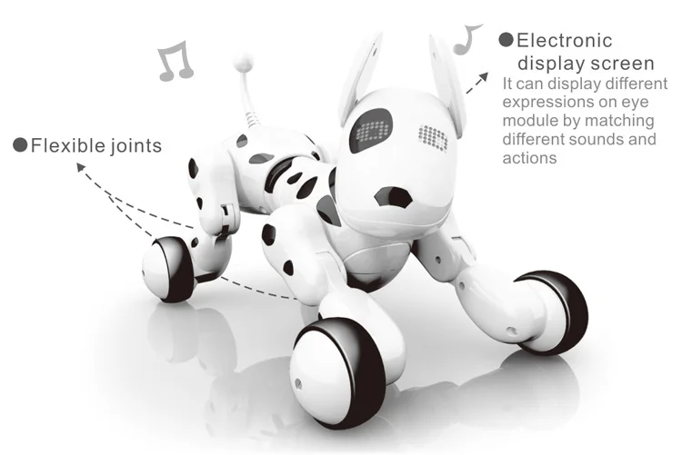 programming stunt smart dog