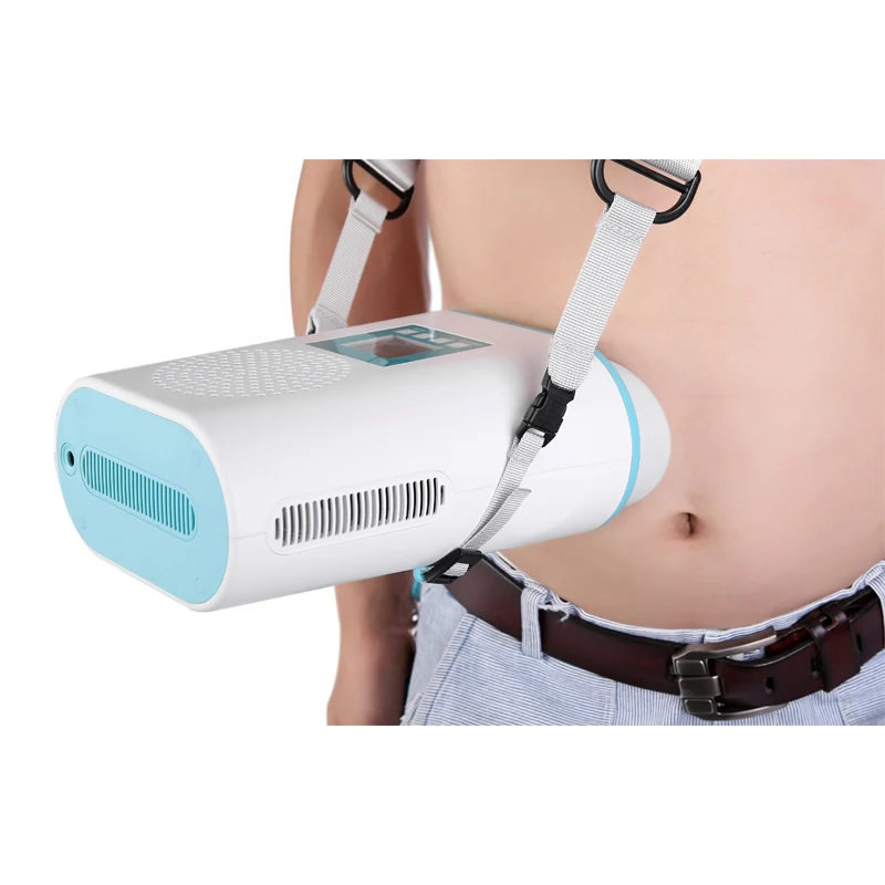 

Handheld High Quality Portable Slim Machine Fat Frozen Mini Weight Loss Machine