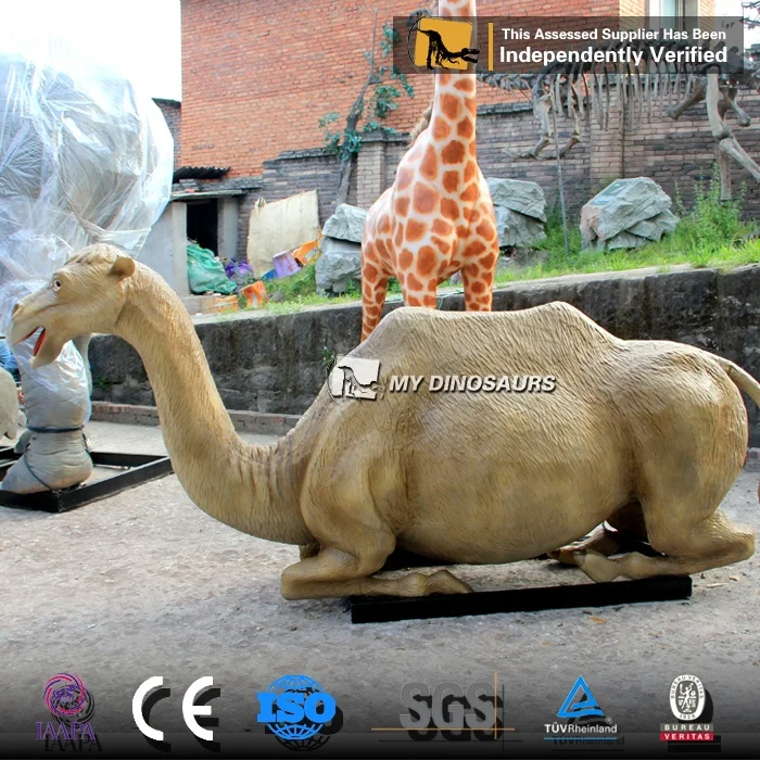 Camel animal