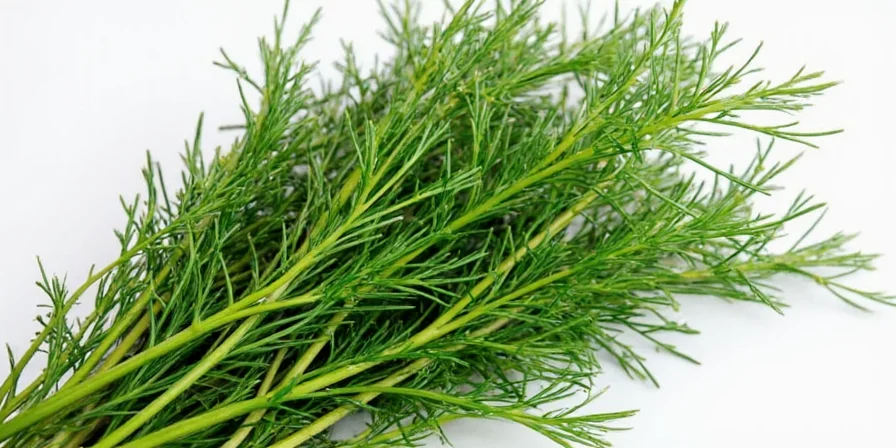 Dill sprig in a jar of pickled vegetables