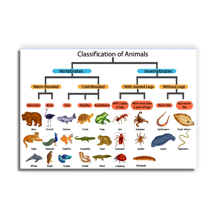 factory custom printing 250g art paper gloss lami