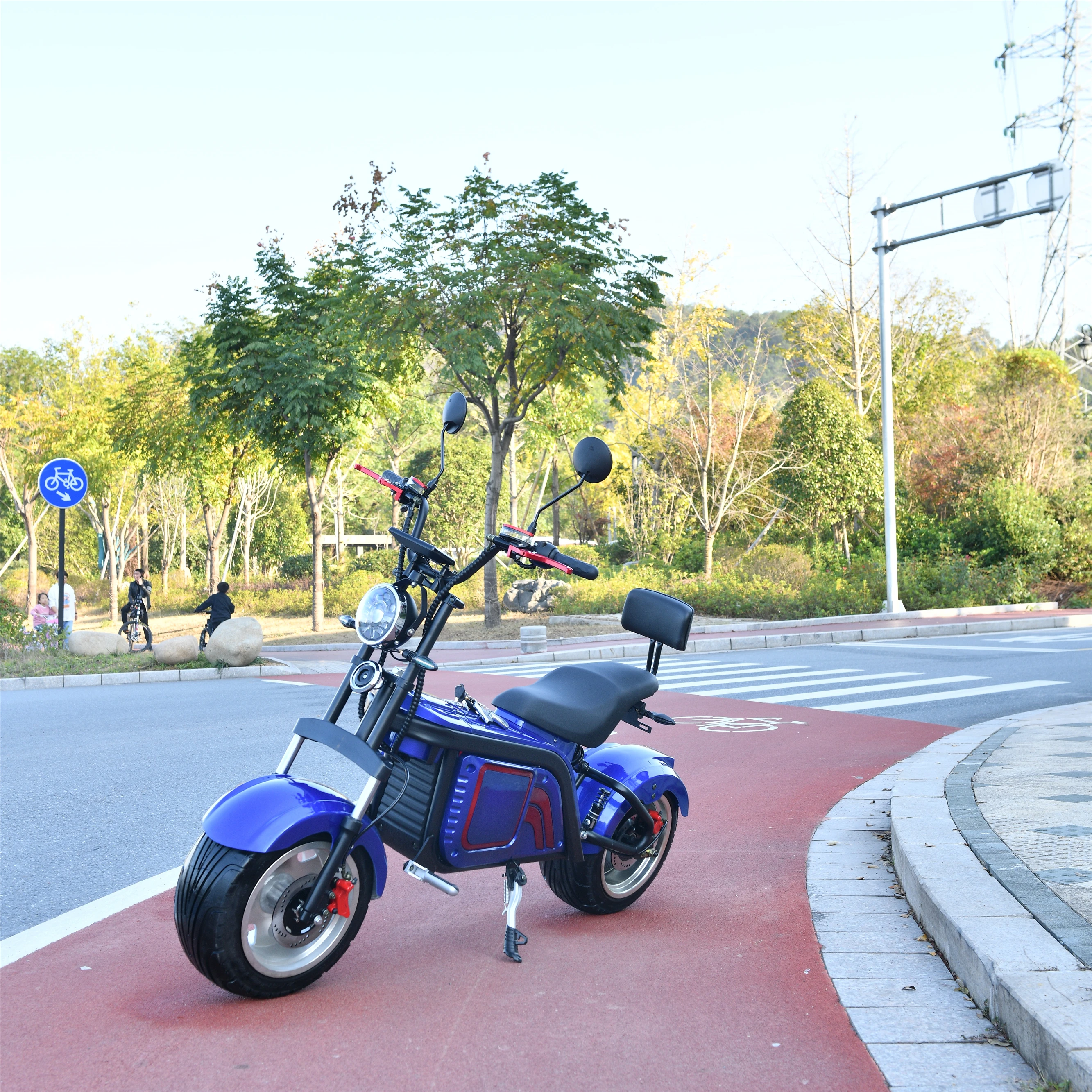 

Hot Selling Chopper Citycoco Europe Warehouse Motorcycle Electric Scooter With EEC