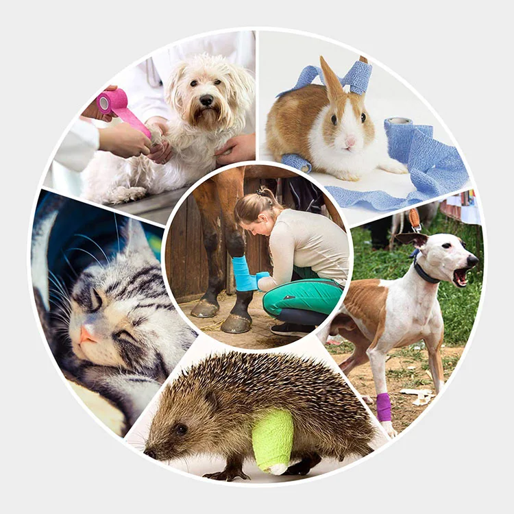  Cohesive Elastic Bandage Horse Vet Wrap Kinesiology Sports Tape