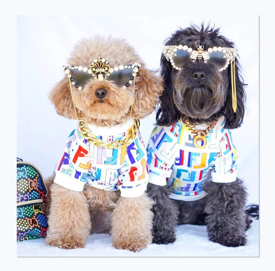 

Brand luxury cute F design manufacturers fashion dog clothing