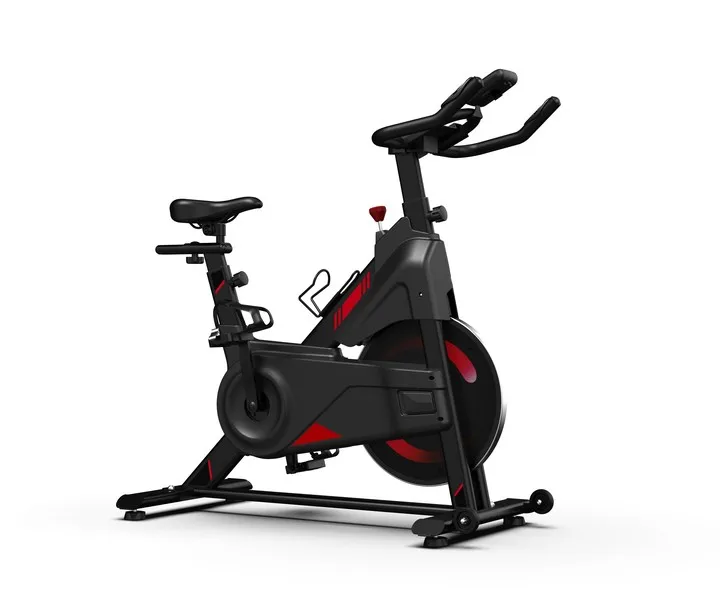 

2021 Electric Exercise Bike Professional Fitness Indoor Spin Bike with LCD Screen