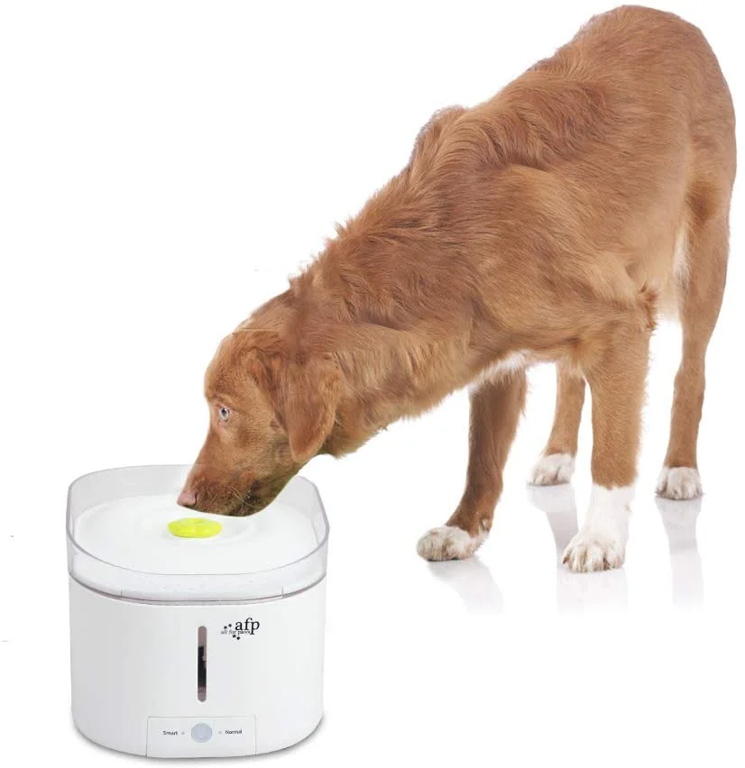 

ALL-FOR-PAWS UV Automatic Purefect Drinking Fountain Cat Water Fountain Dog Water Dispenser Pet Fountain, As phtots