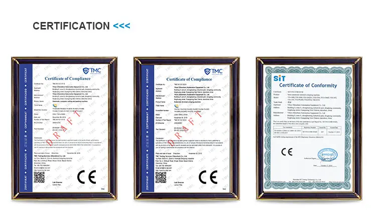 4.Certificate.jpg