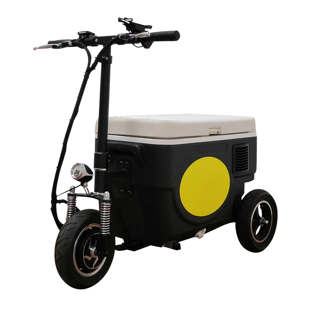 

Mini Scooters Motorized Electric Cooler Scooter with 48V 500W Range 35Km, Black