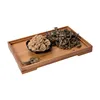 Moxa Wool Chinese Mugwort Punk Warm Channel and Expelling Cold Relieve Rheumatoid Arthritis Pain Mugwort Loose Wool 30:1