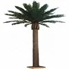 4-12m popular hot UV project large landscape tree high quality date palm tree
