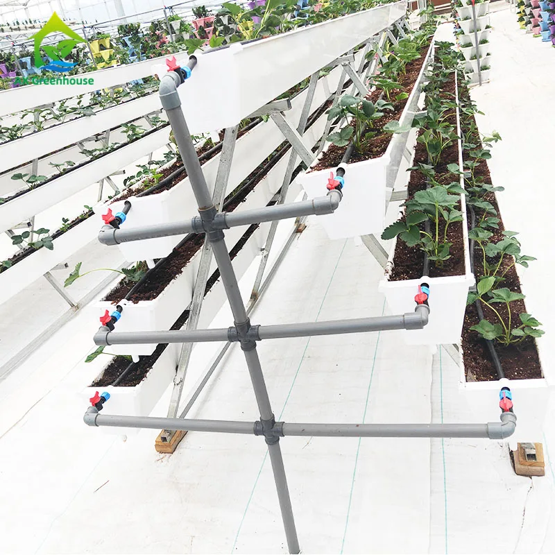 

Soilless Cultivation Planting Trough A Shape Substrate culture for strawberry