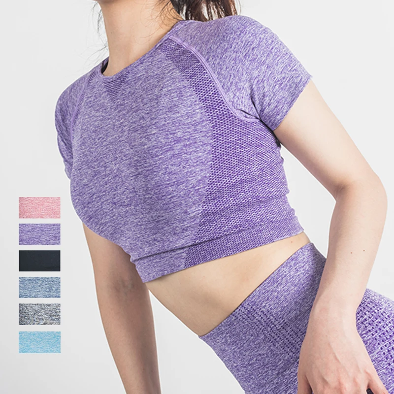 

womens 2021 sportswear seamless yoga suit short sleeve Crop Top Shirt yoga tops