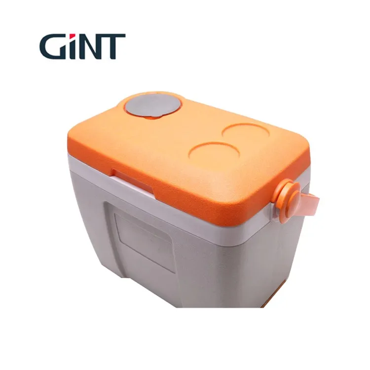 

10L fish storage small mini thermo ice cooler beer cooler fishing camping bbq food storage portable ice box, Solid color