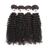 

Free Sample Single One Donor Curly Cuticle Aligned Virgin Hair Unprocessed Double Drawn Raw Indian Hair