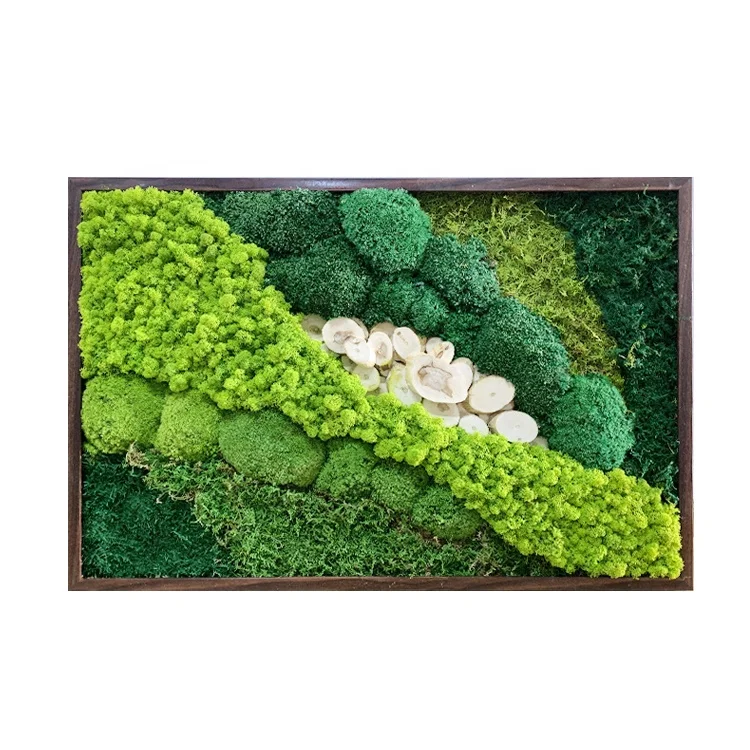 

Wholesale Interior Decoration Home Real Green Plant Wall Decor Natural Dried reindeer Preserved Moss Frame Stabilized Lichen, More than 30 colors