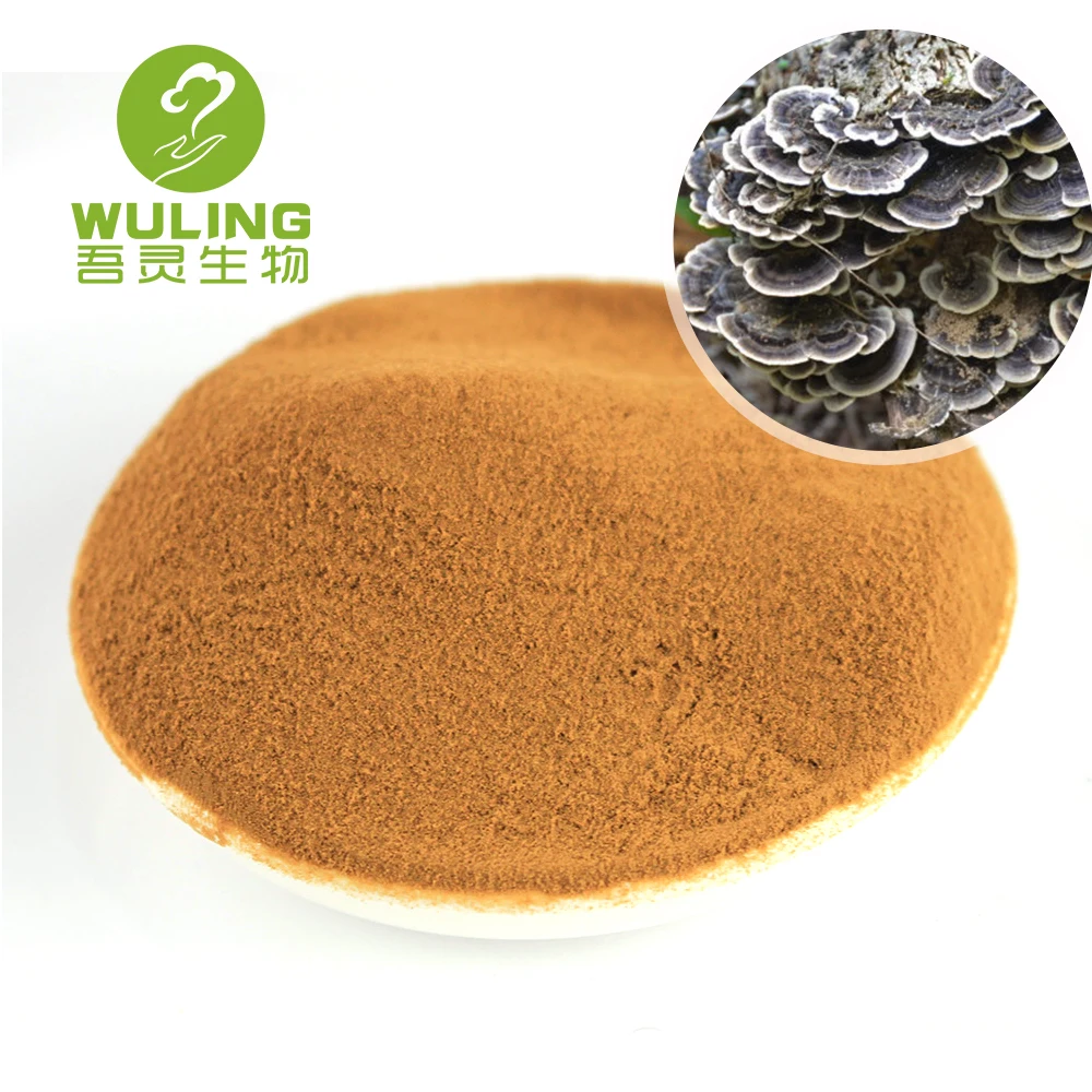 
100% soluble in water Turkey Tail Extract Powder Beta Glucan 50% 