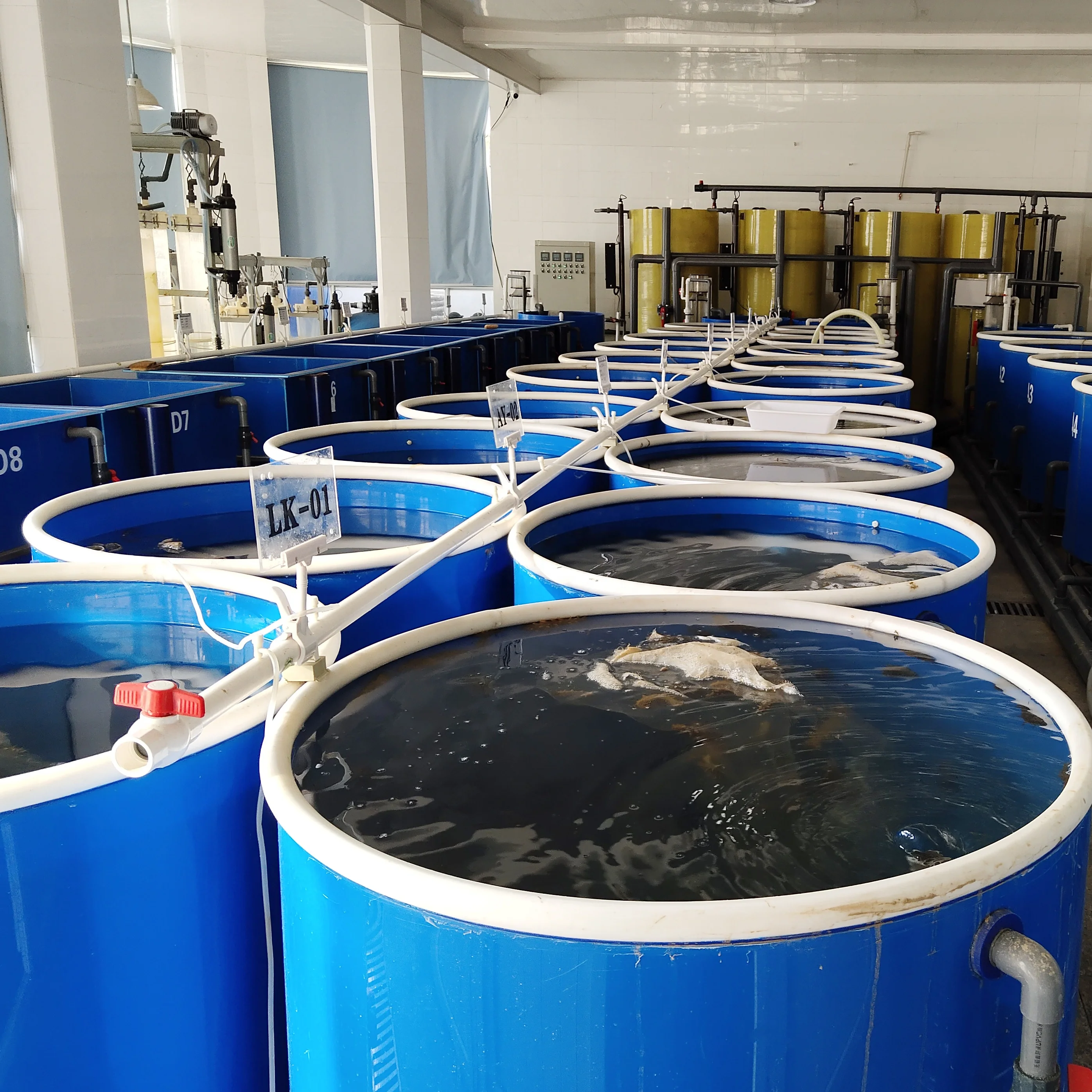 

large commercial fish tanks for fish farm, Blue ,white,green