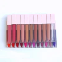 

2020 new pink lip gloss tubes high lipgloss oem matte velvet liquid lipstick makeup