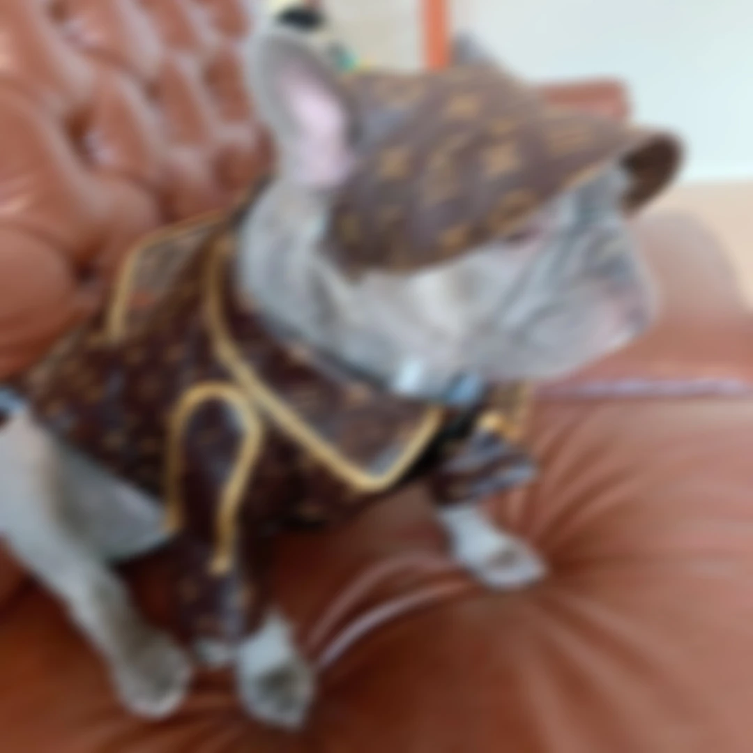

Pet trendy brand sweater autumn and winter jumper designer
