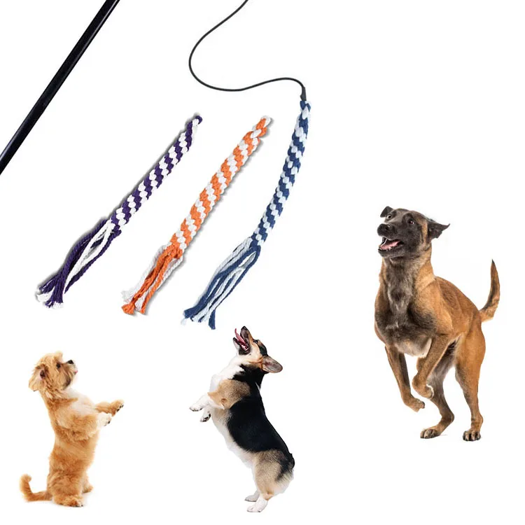 

OEM Logo Dog Extendable Teaser Wand Funny Interactive Pet Fishing Rod Chew Toy with Lure Puppy Exercise Training