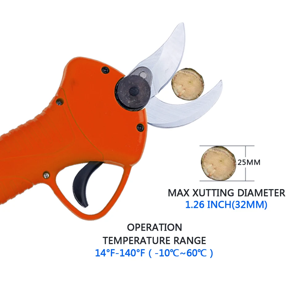 orange 4.jpg