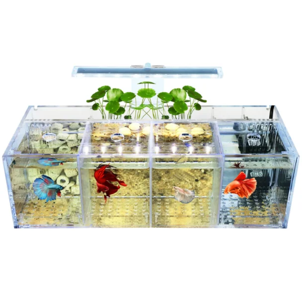 

Led multi grid transparent acrylic betta fish tank aquarium
