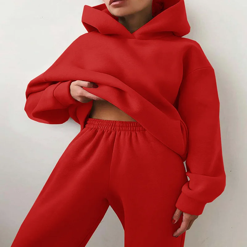 

Two Piece Set Women Sweatshirt Long Pants +Long Sleeve set Autumn Solid Color Hoodie Suit Pullover Tracksuit