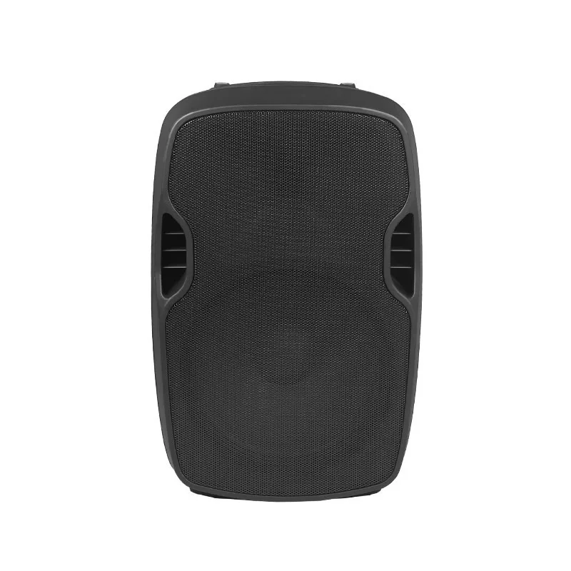 

10 inch High Quality Active Speaker BOX