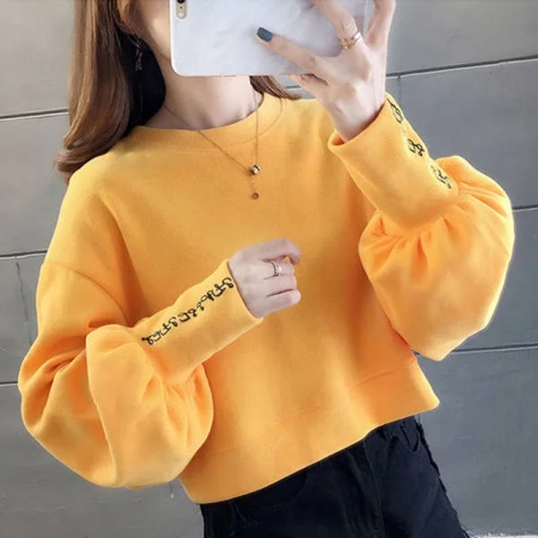 

2020 autumn and winter new sweater loose embroidery Korean style high waist short college blouse women crop top hoodie