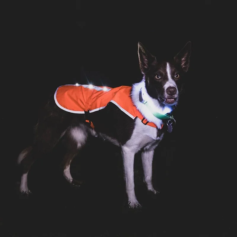 

Easy Fastening Dog Vest Walking Jogging Training Flash Led Pet Vest Accessories Customized