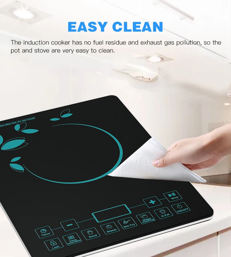 Japan Price Low Power Electric National Mini Small Induction Cooker