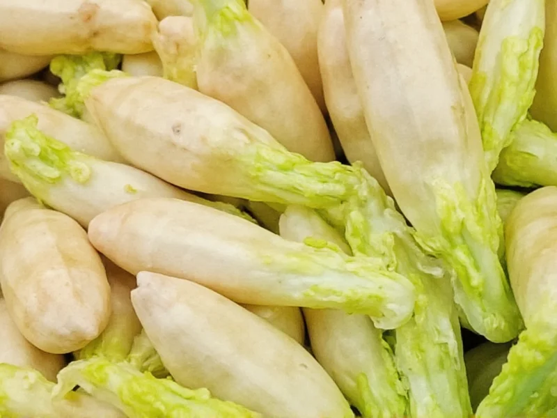 What's Galangal: Essential Guide to the Asian Rhizome