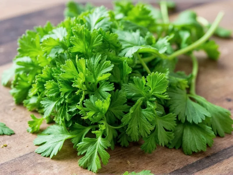 Best Parsley Substitute: Top 5 Alternatives for Cooking