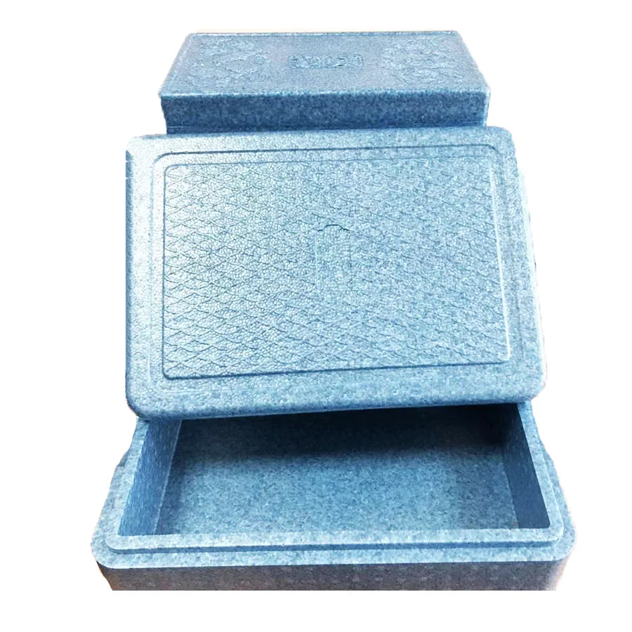 

Factory suppliers Eco-Friendly Shipping Epp Insulated Foam Cooler Box