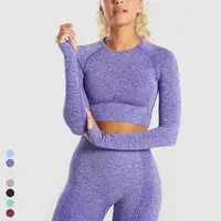 

Seamless Gym Wear Yoga Sets Fitness Women Fitness & Yoga Wear