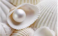 ナチュラル化粧品原料バルク食品グレードナノ真珠粉純粋な真珠粉 Buy 真珠粉 純粋な真珠粉 母の真珠粉 Product On Alibaba Com