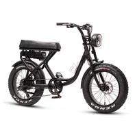 

Fashion high power 20'' electric fat bike 500w motor ebike for lady