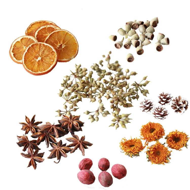 

I047 Natural Plant Specimens Dried Flowers and Fruits Decoration DIY Crafts Material