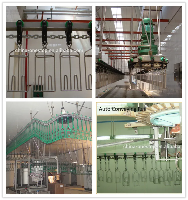 Chicken processing plant equipment Chicken slaughterhouse equipment