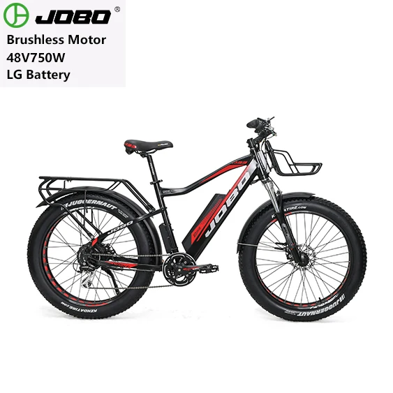 

eu standard electric bike large battery 48V 14AH 250W motor electric mountain bike, Customized