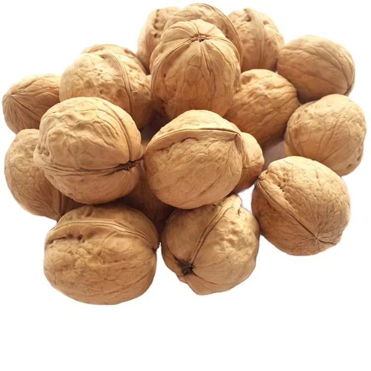 
Wholesale 100% Nutritious healthy Chinese thin shell walnut 
