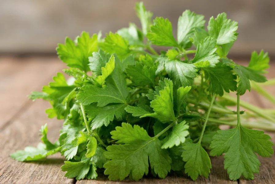 Coriander Taste: Citrusy, Fresh Herb with Soapy Notes for Some