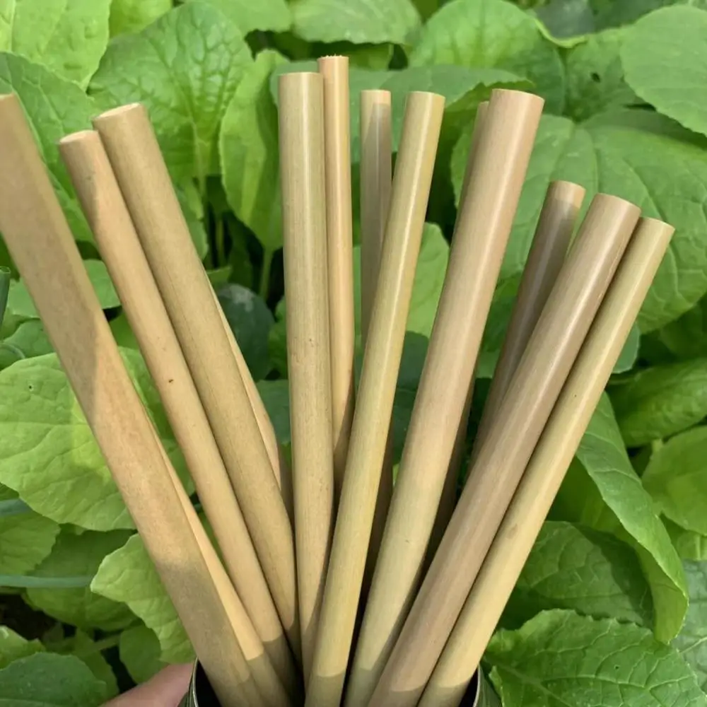 

Reusable & Biodegradable Organic Natural Bamboo Drinking Straw straw bamboo