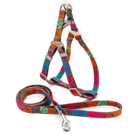 

Amazon New Selling Printing Colorful Rope Dog Leash Dog Harness Leashes For Pet Supplies