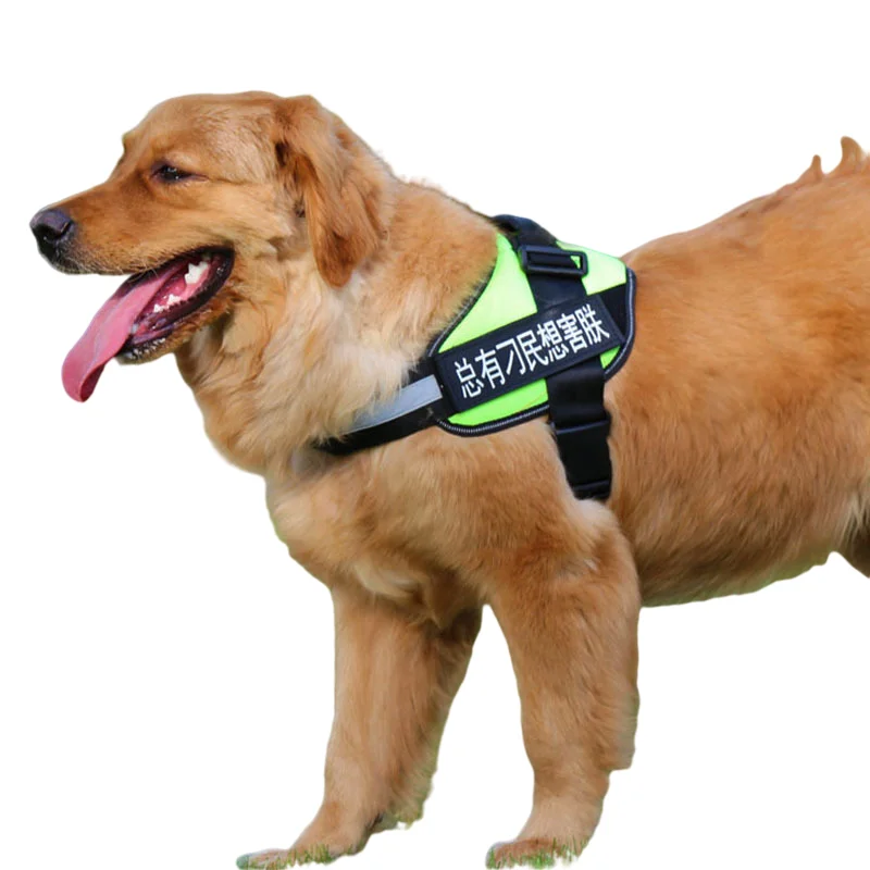 

Pet collar leash harness '2021 new popular reflective reversible dog harness adjustable dog collar