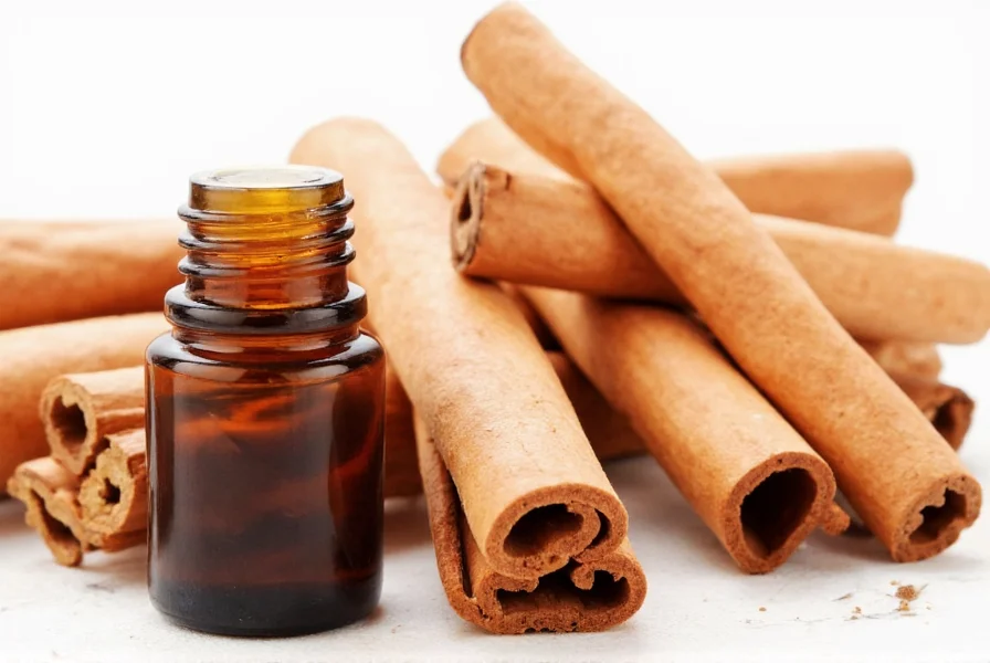 Close-up view of cinnamon sticks and essential oil bottle showing proper dilution ratio